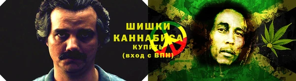 бошки Алексин