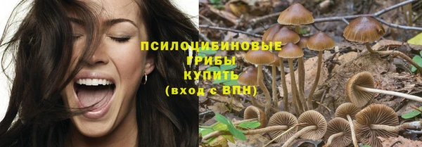 бошки Алексин