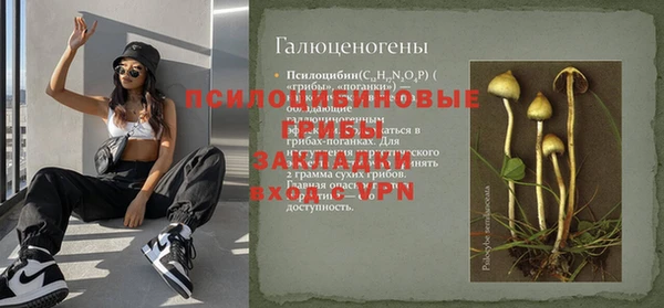 спиды Алзамай
