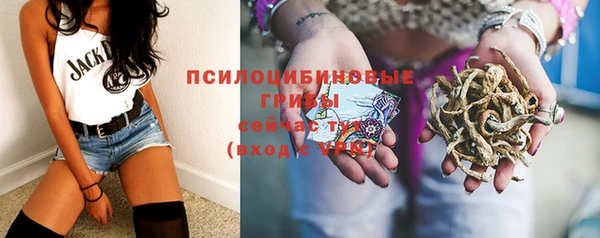 спиды Алзамай