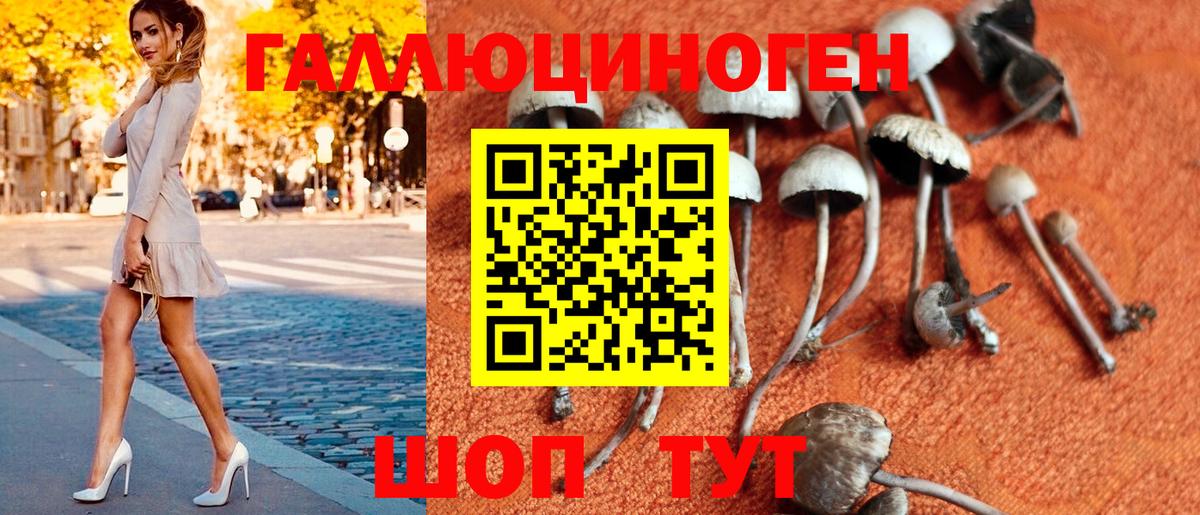 Аргун  Псилоцибиновые грибы MAGIC MUSHROOMS  Вход с VPN 