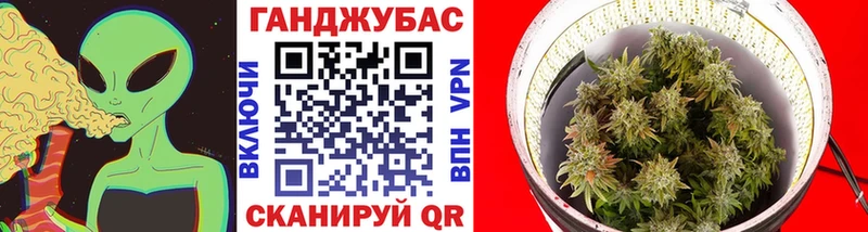Каннабис SATIVA & INDICA  продажа наркотиков  Аргун 